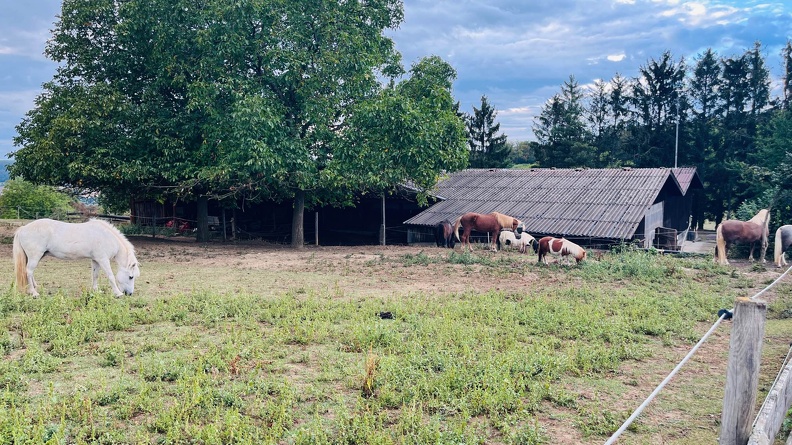 22-09-10 17-55-45 1970.jpeg